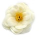 Craft Soap Flower - Camellia - Cream